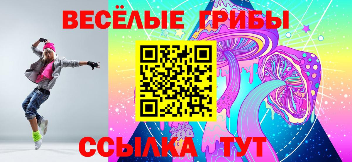 Псилоцибиновые грибы Cubensis Асбест